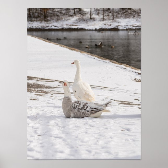 Whats Up Goose Poster (Front)