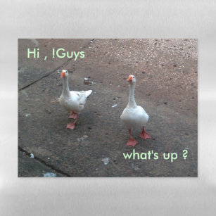 what's up ?, Hi , !Guys -funny Magnetic Dry Erase Sheet