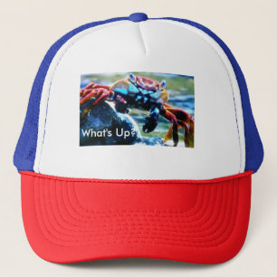 What's Up make your own hat