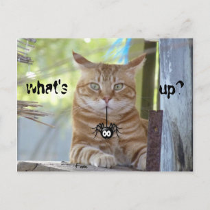 what's up? postcard