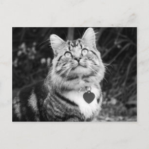 What's Up There Postcard