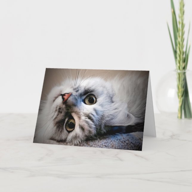 What's Up?  Thinking of You Card (Front)