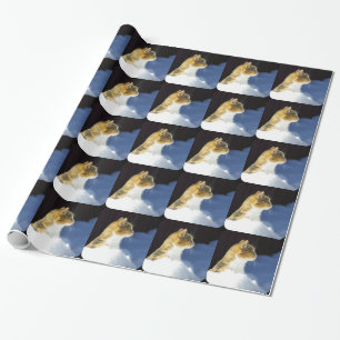 Whats Up? Wrapping Paper