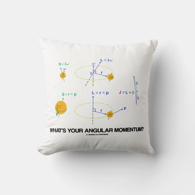 What's Your Angular Momentum? (Physics Diagrams) Cushion (Front)