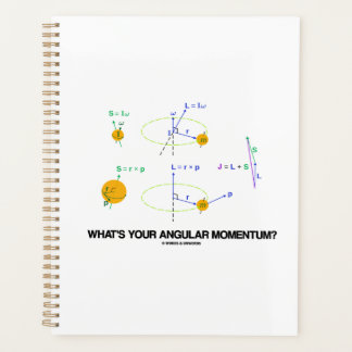 What's Your Angular Momentum? Physics Diagrams Planner