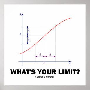What's Your Limit? Limit Function Geek Humor Poster