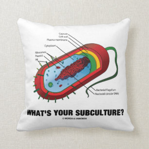 What's Your Subculture? (Prokaryote Bacterium) Cushion