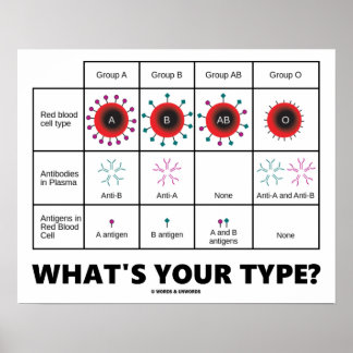 What's Your Type? (Blood Cell Groups) Poster