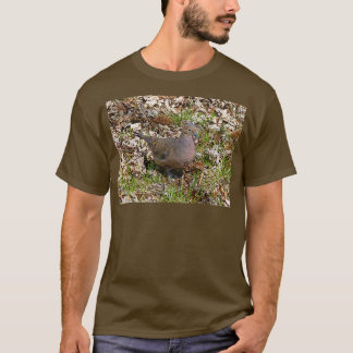 Whatx27s All That Cooing About 1 T-Shirt