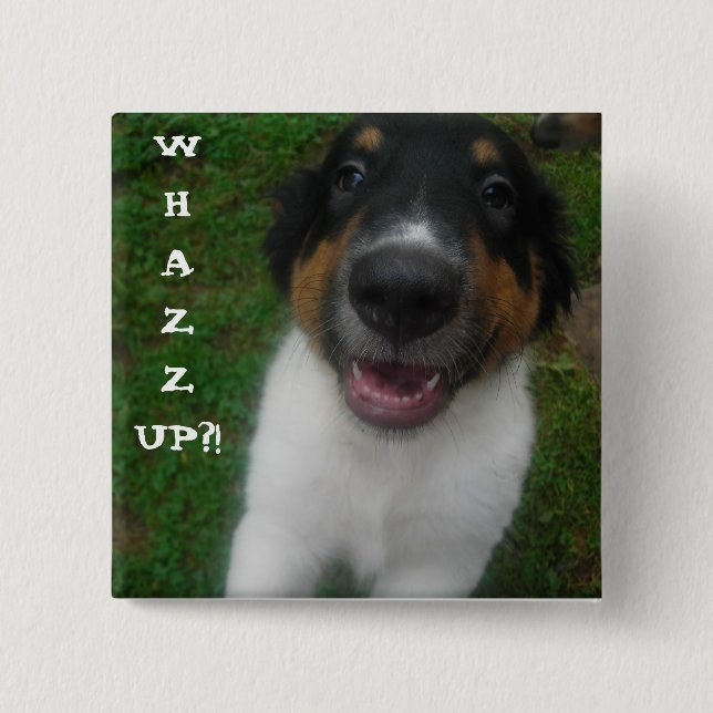 WHAZZUP?! Dog. 15 Cm Square Badge (Front)
