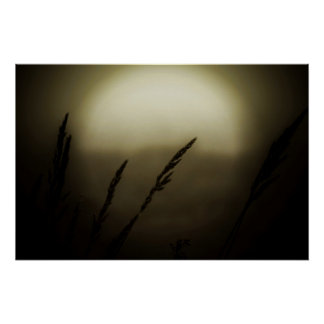Wheat at Sunset Poster