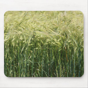 Wheat - beautiful! mouse mat