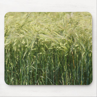Wheat - beautiful! mouse mat