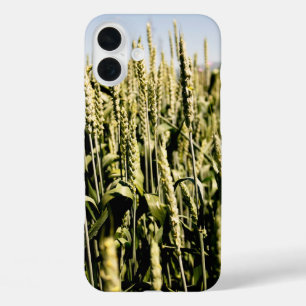 Wheat iPhone 16 Plus Case