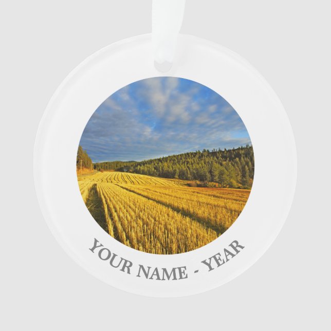 Wheat Field After Harvest 2 Ornament (Front)