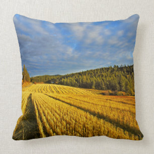 Wheat Field After Harvest Cushion