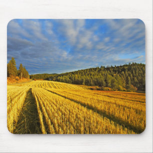 Wheat Field After Harvest Mouse Mat