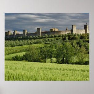 Wheat field and distant Monteriggioni, in the Poster