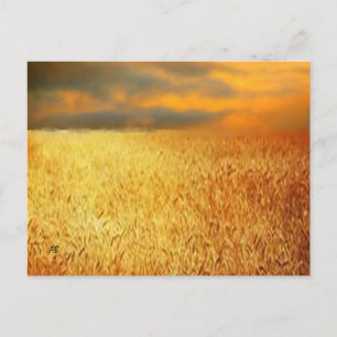 Wheat Field at Sunset, Postcard