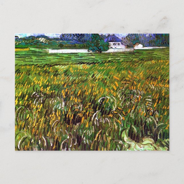 Wheat Field Auvers, White House Van Gogh Fine Art Postcard (Front)