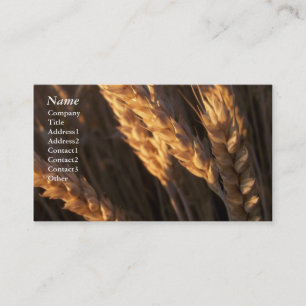 Wheat Field - Business Cards