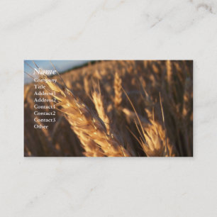 Wheat Field - Business Cards