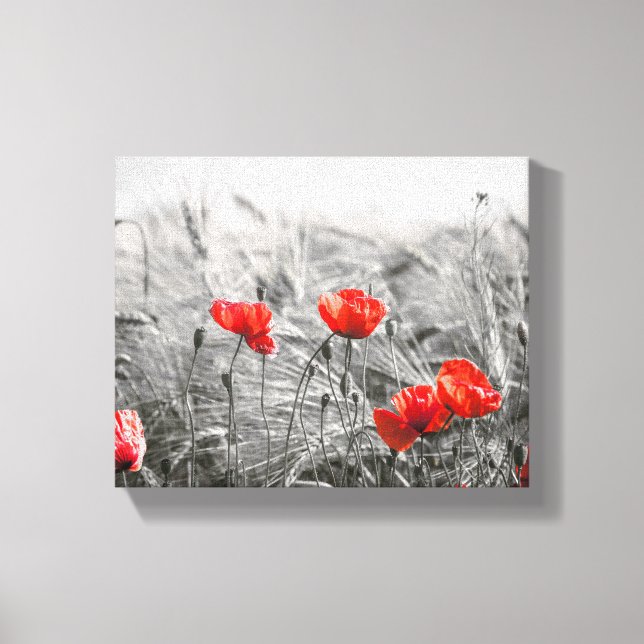 Wheat Field Canvas Print (Front)