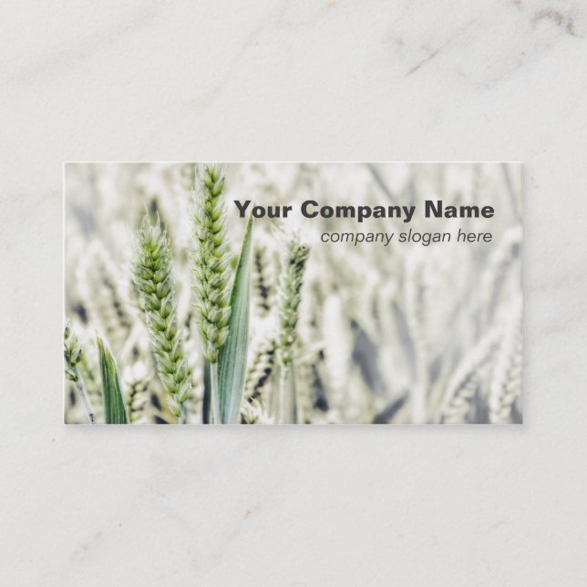 Wheat Field Custom Business Cards (Front)