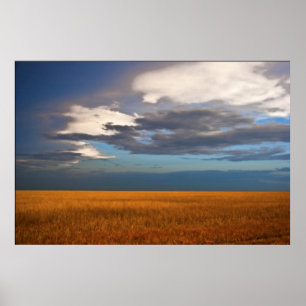 Wheat Field Fine Oil Painting Poster