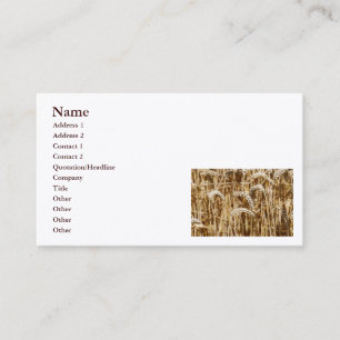Wheat field image for agriculture professional business card