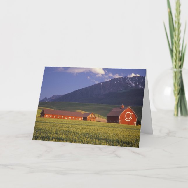 Wheat field in the Wallowa Valley, Just outside Holiday Card (Front)