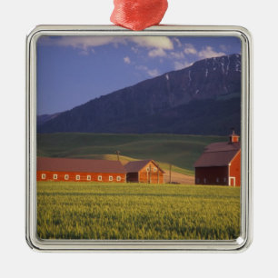 Wheat field in the Wallowa Valley, Just outside Metal Tree Decoration