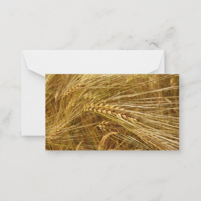  Wheat field. It’s Harvest Time!  Card (Front)