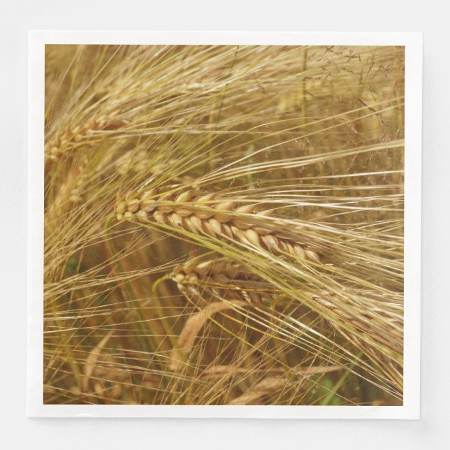  Wheat field. It’s Harvest Time!  Napkin (Front)