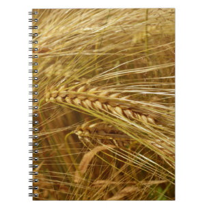  Wheat field. It’s Harvest Time!  Notebook
