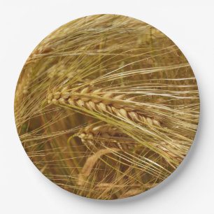 Wheat field. It’s Harvest Time! Paper Plate