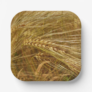 Wheat field. It’s Harvest Time! Paper Plate