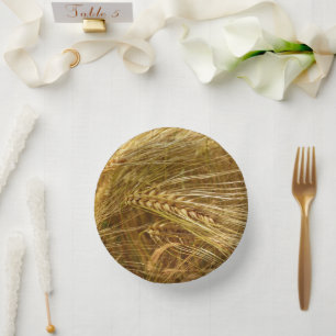Wheat field. It’s Harvest Time! Paper Plate