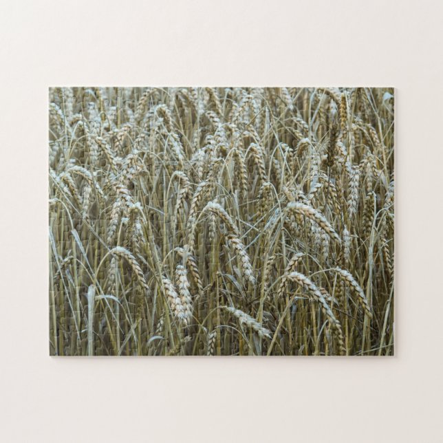 Wheat Field Jigsaw Puzzle (Horizontal)