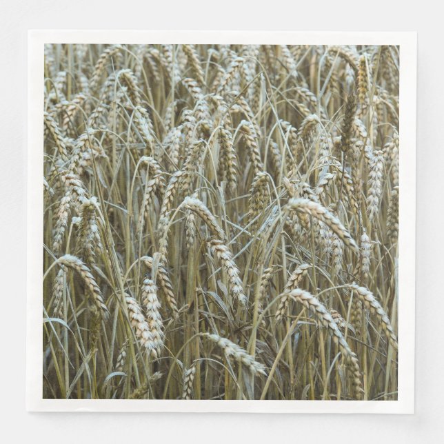 Wheat Field Paper Napkins (Front)