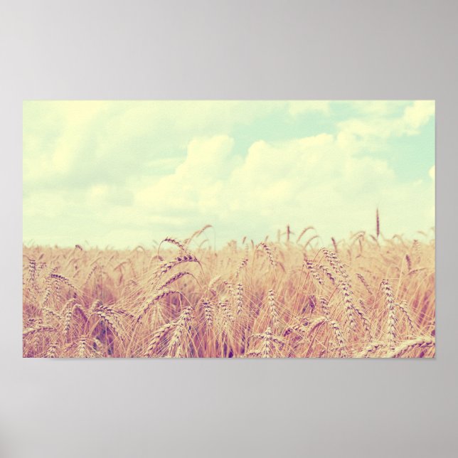 Wheat field poster (Front)