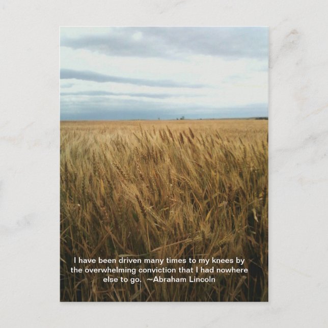 wheat field prayer postcard (Front)