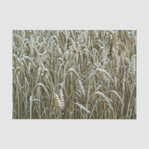 Wheat Field Tissue Paper