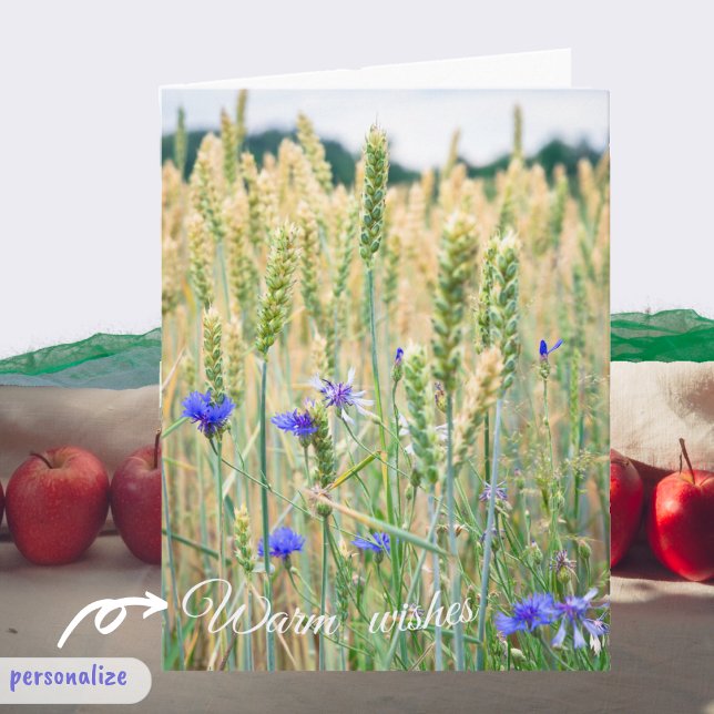 Wheat field with blue cornflowers  card (Creator Uploaded)