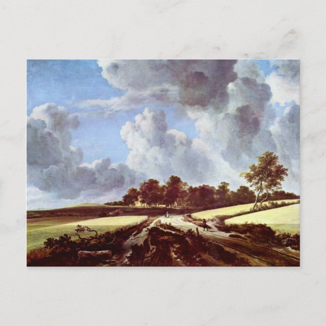 Wheat Fields By Ruisdael Jacob Isaaksz. Van Postcard (Front)