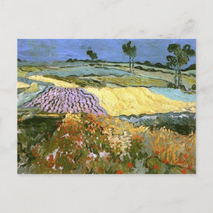 Wheat Fields Near Auvers Van Gogh Fine Art Postcard