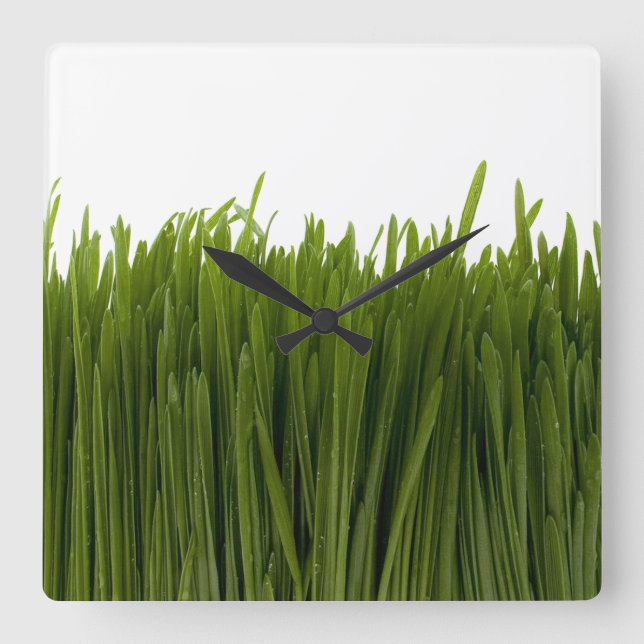 Wheat Grass Wall Clock (Front)