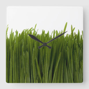 Wheat Grass Wall Clock