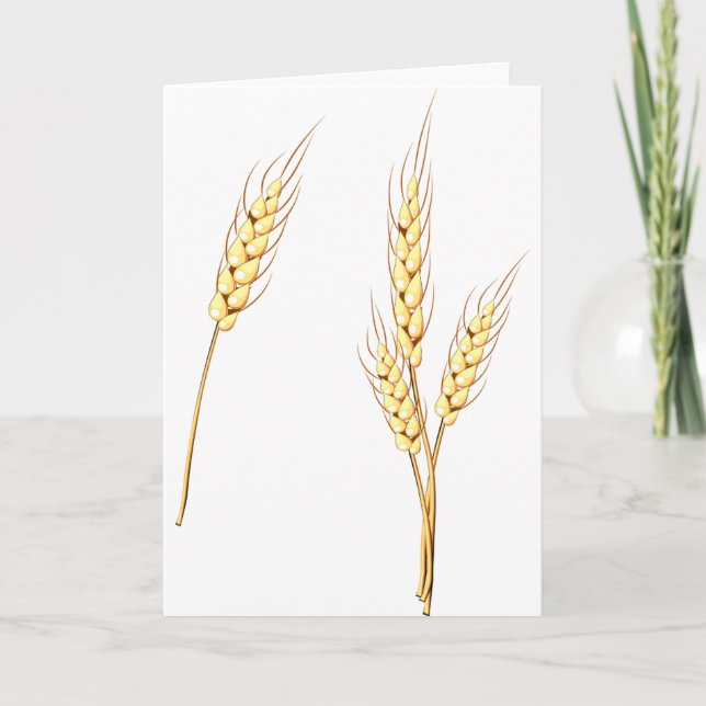 Wheat Greeting Cards (Front)