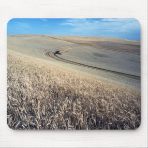 Wheat harvest mouse mat